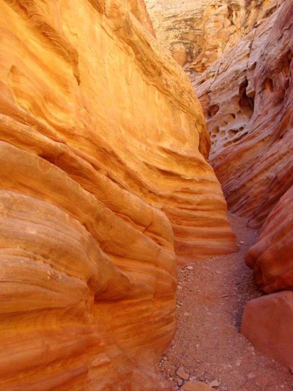 04160302LittleWildHorse (1095)